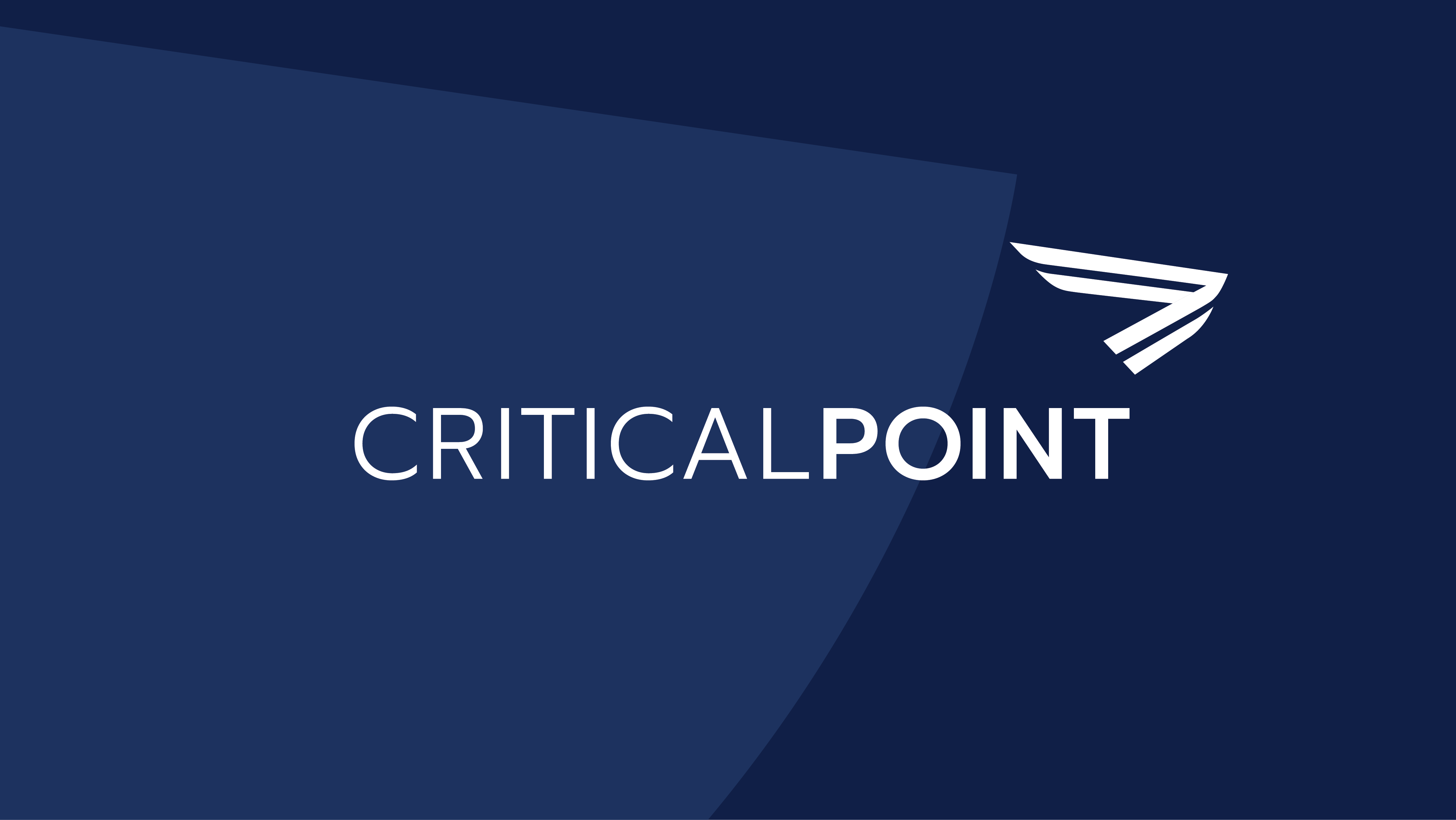CriticalPoint is excited to reveal its brand refresh and new website